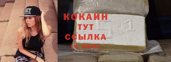 молекула духа Козельск