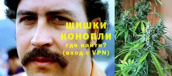 трава Абаза