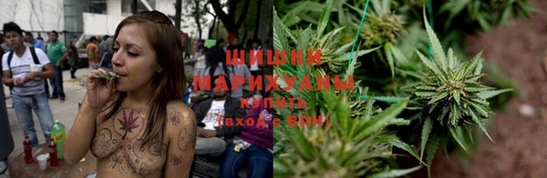 трава Абаза