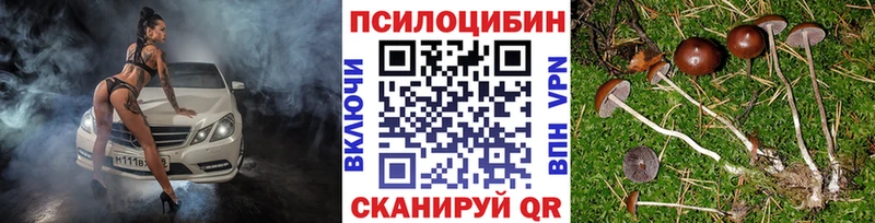 Галлюциногенные грибы Psilocybe  Серпухов 