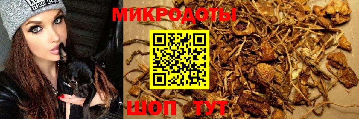 Псилоцибиновые грибы Psilocybine cubensis  Вход с VPN  Серпухов 